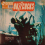 Buzzcocks - French