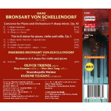 Triendl, Oliver - Bronsart von Schellendorf: Piano Concerto; Piano Trio