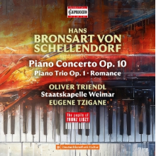 Triendl, Oliver - Bronsart von Schellendorf: Piano Concerto; Piano Trio