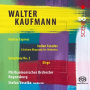 Veselka, Stefan - Kaufmann: Orchestral Works