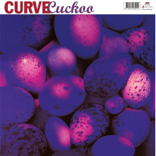 Curve - Cuckoo