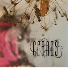 Cranes - Fuse