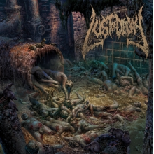 Lust of Decay - Entombed In Sewage