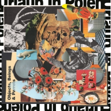 Urlaub In Polen - Objects, Beings & Parrots