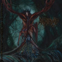Anal Stabwound - Enshrining the Manyfingered Grasp