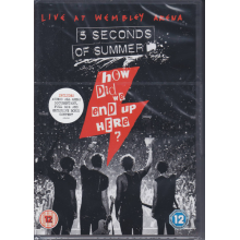 5 Seconds Of Summer - How Did We End Up Here? 5 Seconds Of Summer Live At Wembley Arena