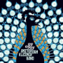 Amsterdam Klezmere Band - Oyoyoy