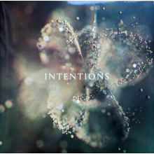 Anna - Intentions (2lp)