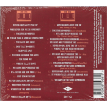 Astley, Rick - Whenever You Need Somebody