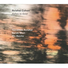 Avishai Cohen Quartet - Ashes To Gold