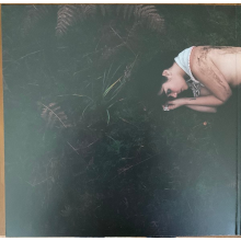 Bat For Lashes - The Dream Of Delphi (lp Red) (indie)