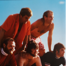 Beach Boys, The - Greatest Hits
