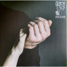 Birds In Row - We Already Lost The World