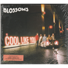 Blossoms - Cool Like You