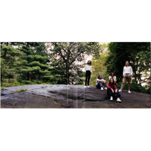 Blossoms - Foolish Loving Spaces