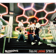 Blossoms - Foolish Loving Spaces