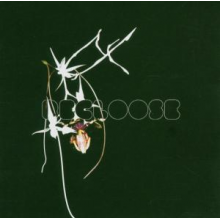 Recloose - Hiatus On the Horizon