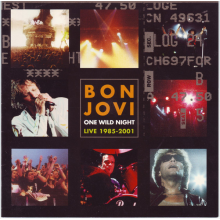 Bon Jovi - One Wild Night