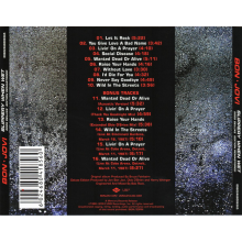 Bon Jovi - Slippery When Wet [copy2] [copy] (2cd)