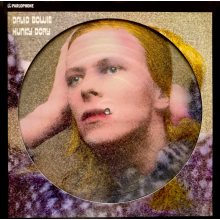 Bowie, David - Hunky Dory (picture Vinyl Album)