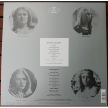 Budka Suflera - Cień Wielkiej Góry (limited Edition)