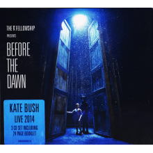 Bush, Kate - Before The Dawn (live)