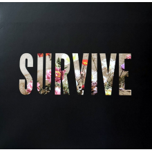 Capaldi, Lewis - Survive Ep V12