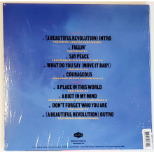 Common - A Beautiful Revolution (lp)