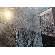 Cyminology - Phoenix