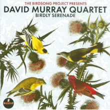 David Murray Quartet - Birdly Serenade