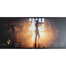 Def Leppard - Drastic Symphonies (2lp)