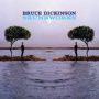 Dickinson, Bruce - Skunkworks