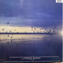 Echo & The Bunnymen - Heaven Up Here