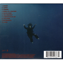 Eilish, Billie - Hit Me Hard And Soft