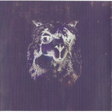Fall Out Boy - Mania