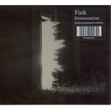Fink - Horizontalism