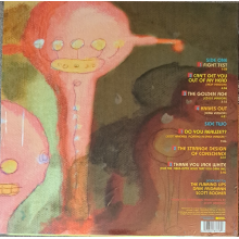 Flaming Lips, The - Fight Test