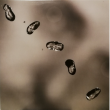 Gabriel, Peter - Up (2lp)