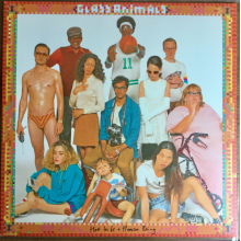 Glass Animals, Denzel Curry - How To Be A Human Being (lp)