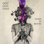 Goo Goo Dolls, The - Chaos In Bloom