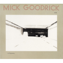 Goodrick, Mick - Touchstones: In Passing