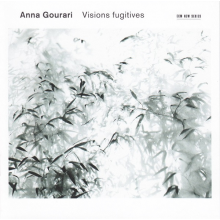 Gourari, Anna - Visions Fugutatives