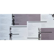 Grande, Ariana - My Everything (lp)