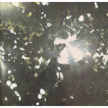 Grandson - I Love You, I'm Trying