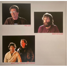 Grateful Dead - In The Dark (silver Vinyl, Syeor 2024)