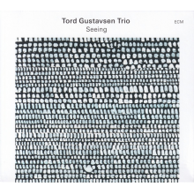 Gustavsen, Tord - Seeing
