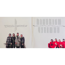 Imagine Dragons - Origins 2lp