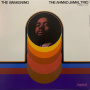 Jamal, Ahmad - The Awakening (lp) (verve By Request) (lp)