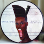 Jones, Grace - Slave To The Rhythm Lp.