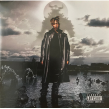 Juice Wrld - Fighting Demons